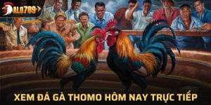 Thomo hôm nay