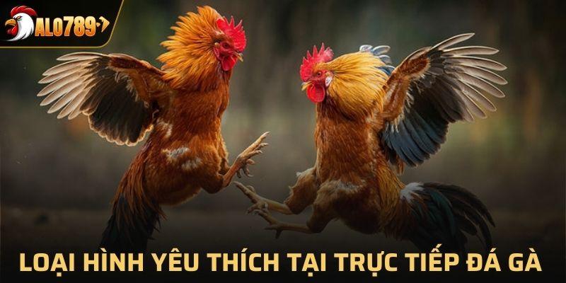 Loại hình được yêu thích tại trực tiếp đá gà ALO789