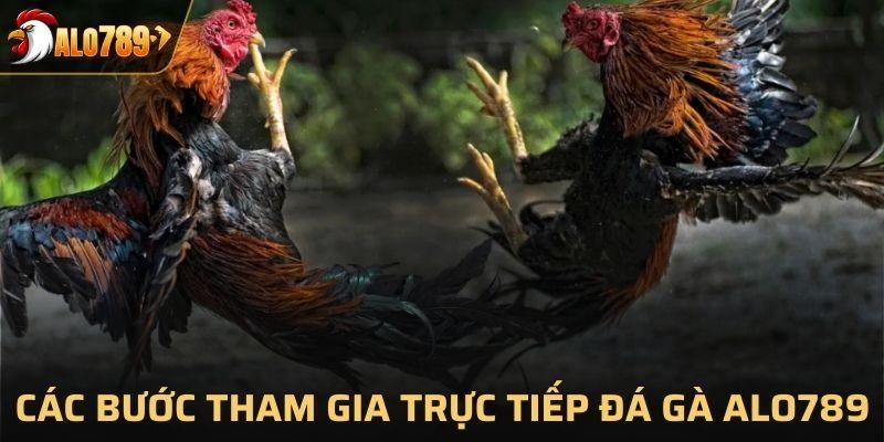 Các bước tham gia trực tiếp đá gà tại ALO789 đơn giản