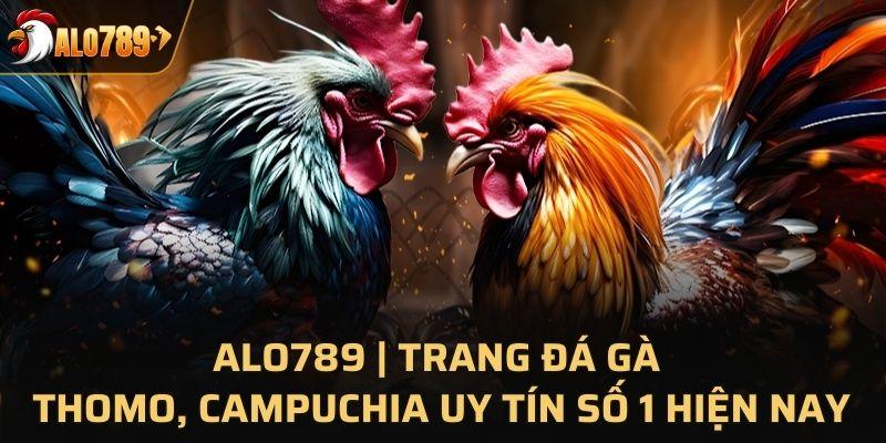Giới thiệu sơ lược về nhà cái đá gà Alo789