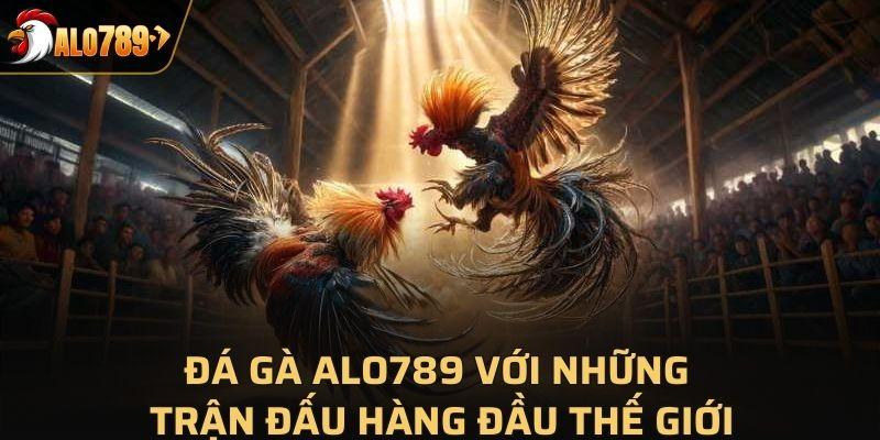 Đá gà Alo789 với những trận đấu hàng đầu thế giới