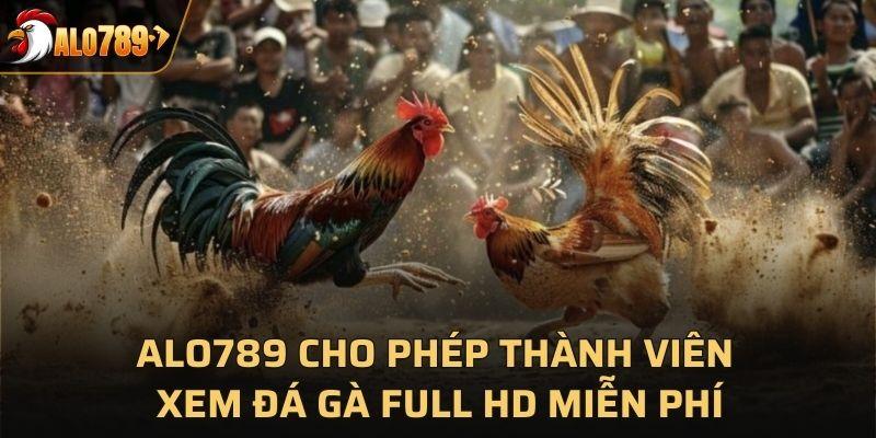 Alo789 cho phép thành viên xem đá gà full HD miễn phí