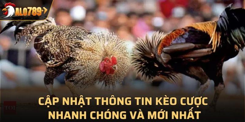 Cập nhật thông tin kèo cược nhanh chóng và mới nhất